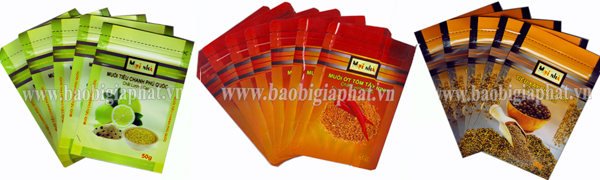 In túi zipper đáy đứng| baobigiaphat.vn